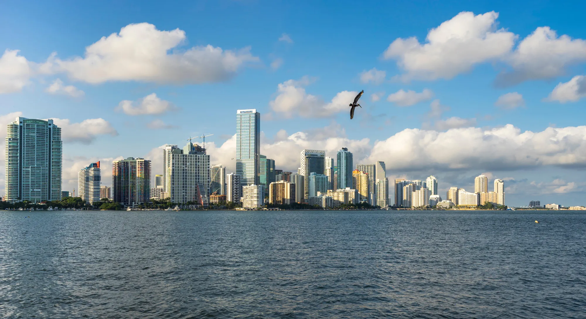 Brickell Miami skyline and waterfront