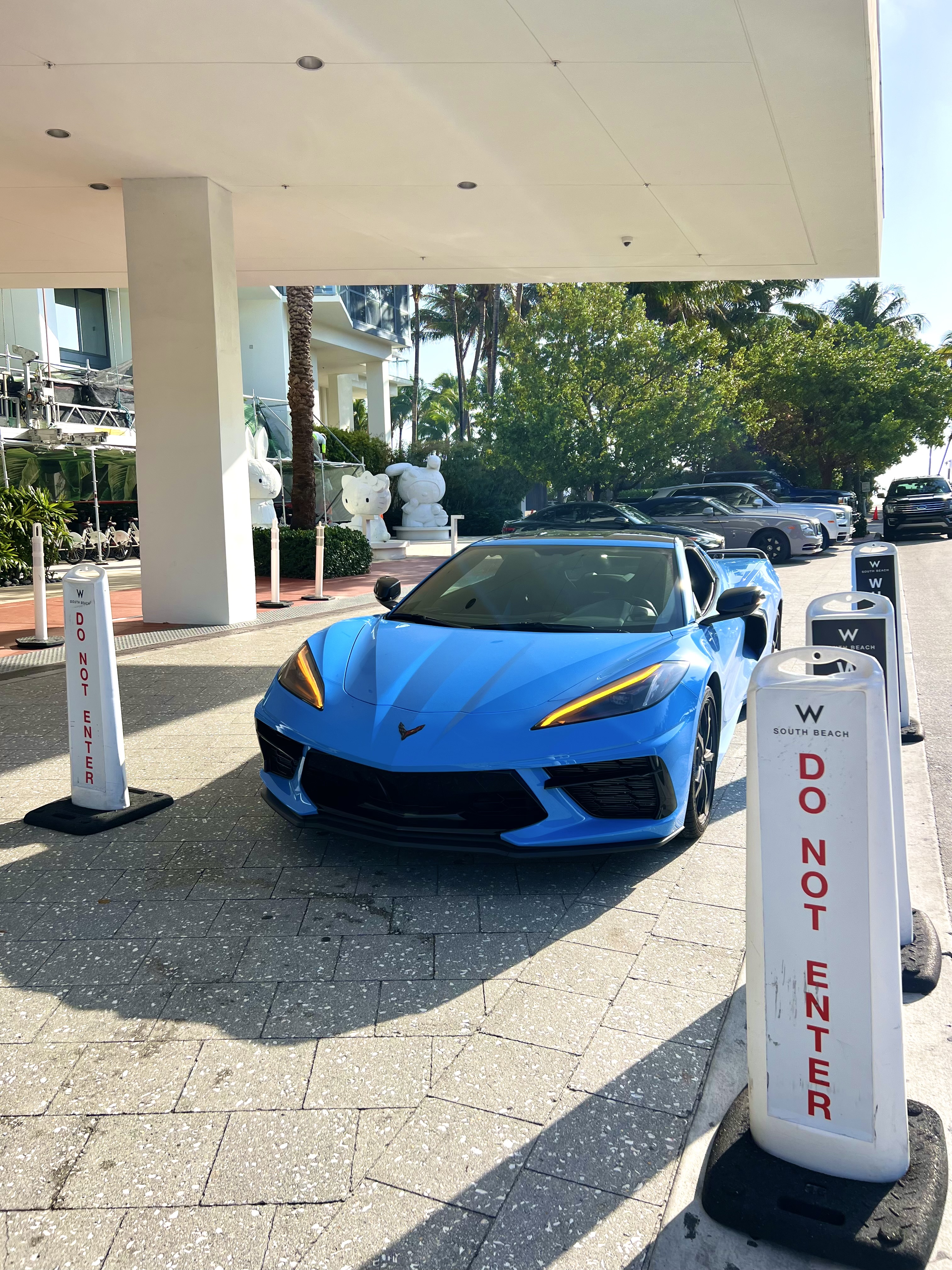 Professional Car Rental Business Setup